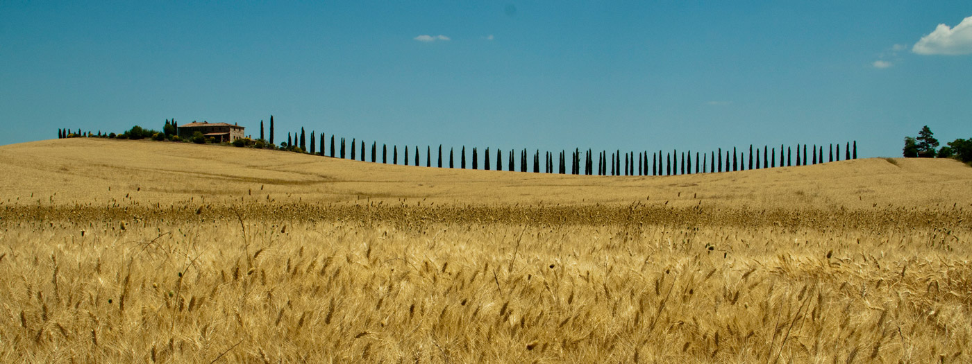 valdorcia